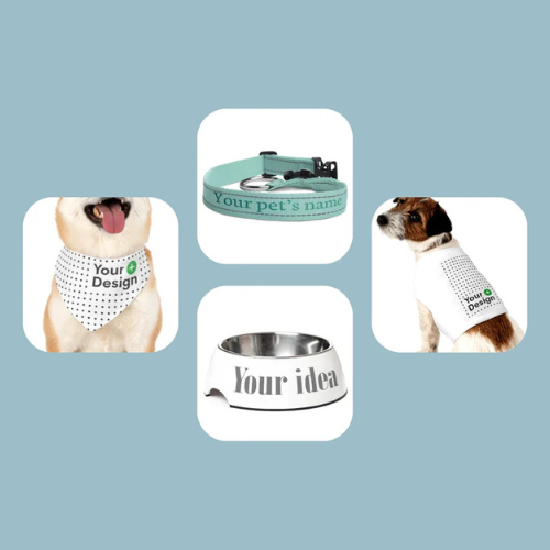 Pet Accessories