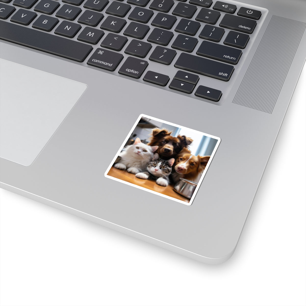 Pet Portrait Sticker — Cute Cats & Dogs Kiss-Cut Decal