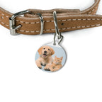 Pet Tag — Cute Puppy & Kitty Photo ID Tag (Custom Engraving Option)